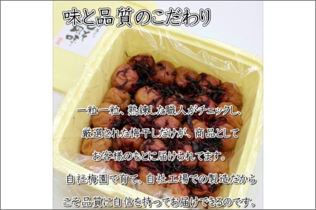 紀州南高梅使用 しそ梅(塩分15%) 1.5kg（和歌山県産）