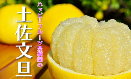 【先行予約】土佐文旦 5kg 家庭用 文旦