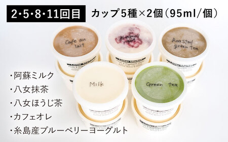 【 全12回 定期便 】 カップ 10個 × 8回 / お楽しみ ボトル 2個 × 4回 セット 糸島 / LoiterMarket[AGD012]