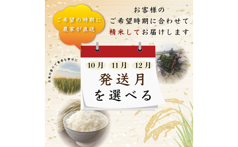 先行予約【12月より順次出荷】令和8年産 新潟県 上越市産 ミルキークイーン 5kg 白米 精米 送料無料 塩崎農場