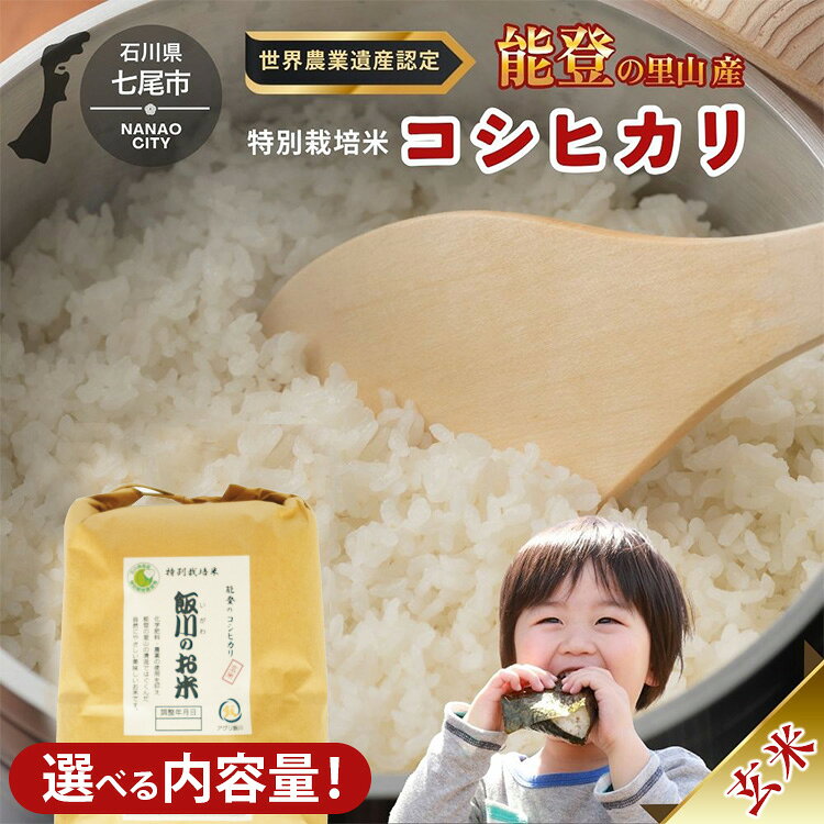 【ふるさと納税】＼選べる内容量／米 玄米/能登のコシヒカリ 飯川のお米（玄米）｜特別栽培米 石川県 七尾市