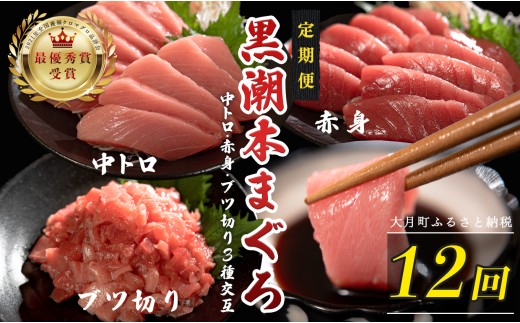 訳あり 不定貫 定期便 12回 国産 養殖本マグロ 中トロ・赤身・ブツ切り 3種 毎回120〜300g 月替わり×12回 黒潮本まぐろ 全国養殖クロマグロ品評会 最優秀賞受賞 12ヶ月 12か月 一年 柵 刺身用 本マグロ クロマグロ 本鮪 まぐろ 鮪 お刺身 さしみ 中トロ トロ 赤身 ブツ切り ぶつ切り ネギトロ たたき ユッケ 海鮮丼 漬け丼 手巻き寿司 鉄火丼 まぐろ丼 小分け 10万円