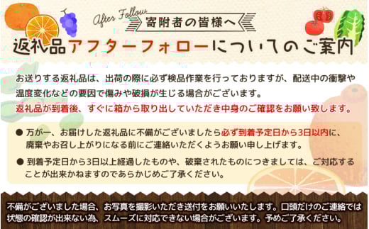 【先行予約】秀品 有田みかん 2kg 2S～Lサイズのいずれか ※2025年12月上旬頃〜2025年12月下旬頃に順次発送予定 / みかん ミカン 蜜柑 温州みかん 柑橘 フルーツ 果物 くだもの 和