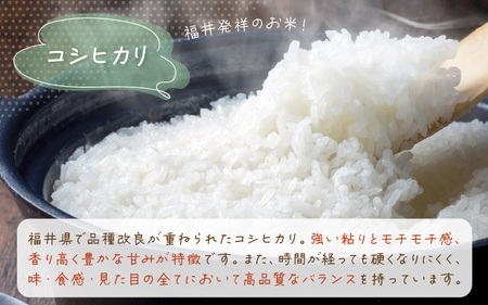 先行予約】令和7年産 愛情たっぷり健やかに育った もちもち 甘い コシヒカリ（白米）5kg【2025年9月下旬以降順次発送予定】 [m29-a018]