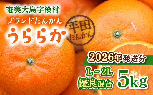 
            【2026年1月下旬～出荷開始】 《ブランドたんかん》うららか (5kg) 【先行予約】L 2L サイズ 糖度10%以上 タンカン 果物 フルーツ 柑橘 奄美大島 宇検村 鹿児島
          