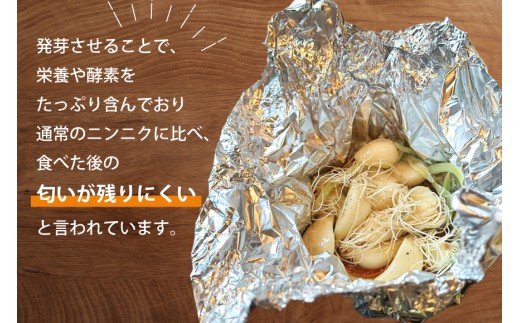 にんにく 満点にんにく 6～8個入 10袋 [グローアップ 愛知県 岡崎市 ok23bzw550004] ニンニク 大蒜 ガーリック 発芽 野菜 やさい 丸ごと 生にんにく