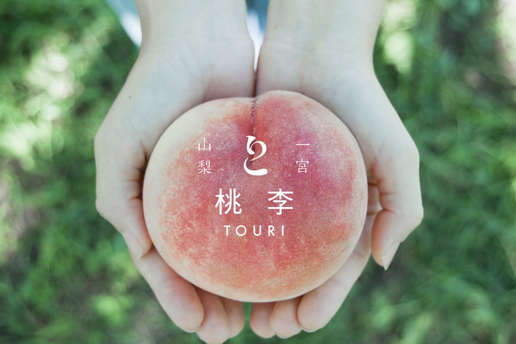 
            【訳あり】笛吹市一宮町の朝採り桃 2.0kg (5～8玉) 122-012-oya ※関東地域以外は配送不可 ｜もも 桃 発送 桃李 TOURI 山梨 笛吹市 一宮町 桃 ピーチ 果物 フルーツ 新鮮 旬 発送 2.0kg 2.0キロ 2キロ 国産 もも 笛吹市 桃 もも 山梨県笛吹市 果物 ピーチ 家庭用 訳あり 朝どり モモ 先行 2kg｜
          