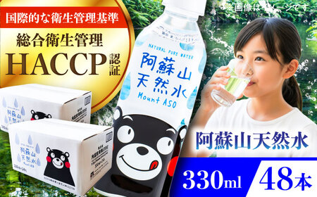阿蘇山天然水 330ml 計48本(24本×2ケース) 天然水 水 ミネラルウォーター 備蓄 熊本 菊陽町【丸富産業株式会社】[BHDG004]