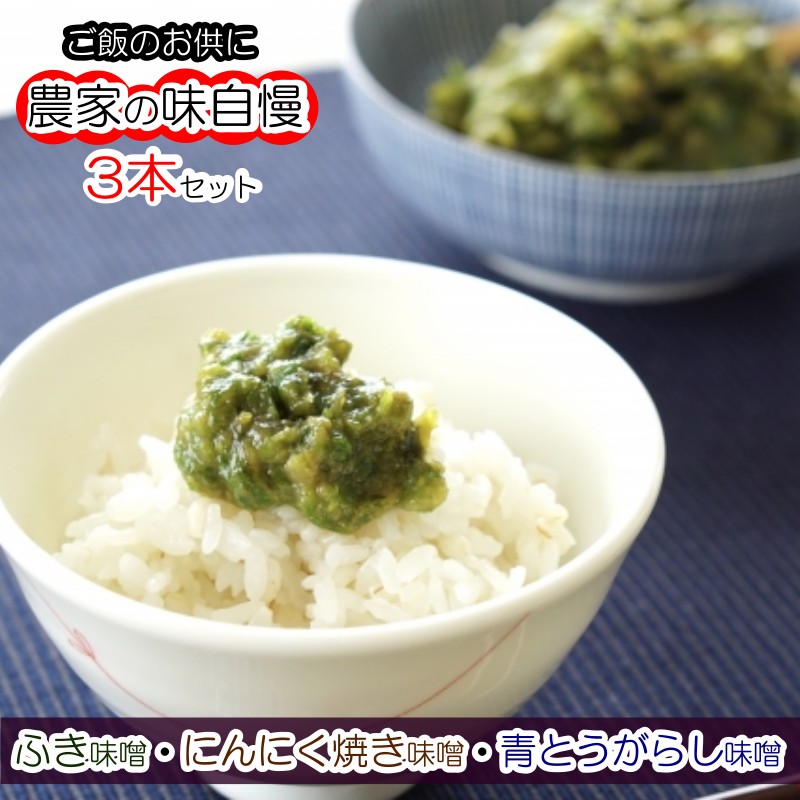 【ふるさと納税】231＊小川の庄　農家の味自慢3本詰合せ