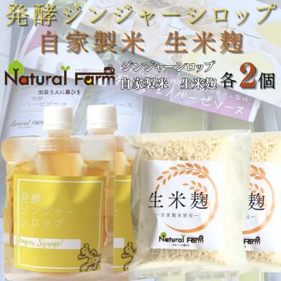 ふるさと納税 枕崎市 発酵ジンジャーシロップ&amp;生米麹　各2パックセット A7-18