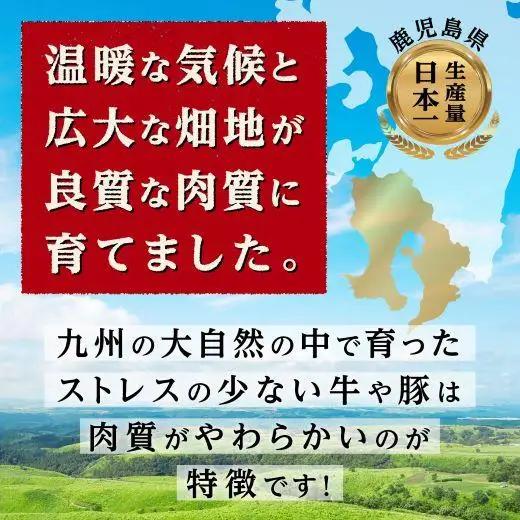九州産　豚切り落とし　2.4kg
