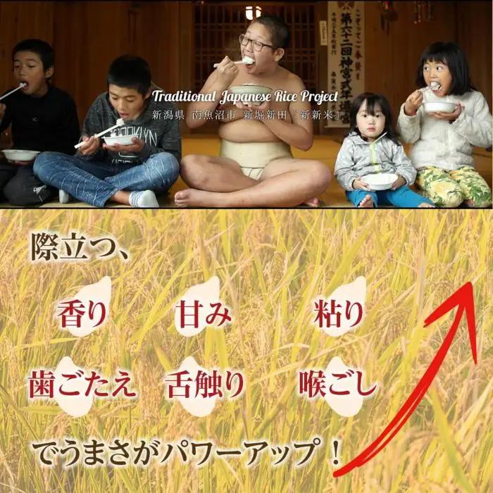 【令和7年】【ふるなび限定】【新新米】南魚沼産コシヒカリ5kgふるさと八海山の農家直販　FN-Limited-SP