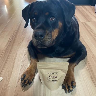 ふるさと納税 ひたちなか市 茨城県産ほしいもの未利用部分を使用したワンちゃんのための無添加おやつ(90g×8袋) |  | 02