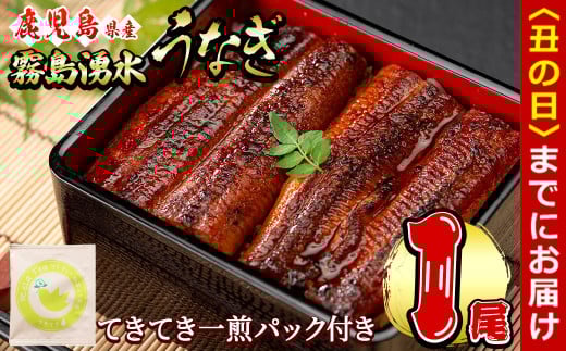 【丑の日までに配送】霧島湧水鰻1尾(156g以上)とてきてき一煎1P付きセット 鰻 うなぎ 蒲焼き かばやき うな重 冷凍 鰻重 お茶 緑茶 深蒸茶 深蒸し茶 抹茶 茶葉 ティーバッグ 国産 鹿児島県産 a0-375-us