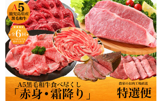 
【全６回定期便】鹿児島県産A5黒毛和牛霜降り・赤身食べ尽くし定期便 3kg ギフト黒箱入(水迫畜産/Z120-550)M21 肉 牛 牛肉 豚 黒豚 ローストビーフ 切り落とし すき焼き しゃぶしゃぶ 薄切り 鹿児島 いぶすき
