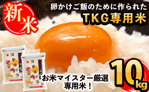 B-108 《令和7年産新米》日本初！卵かけご飯専用米!コケコッコ(TKG専用米)計10kg(5kg×2パック)【山口米店】お米 精米 白米 米 お米 こめ コメ