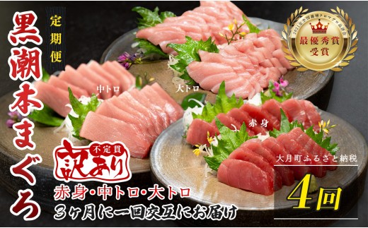 訳あり 不定貫 定期便 4回 国産 養殖本マグロ 大トロ・中トロ・赤身 3種 毎回300g 月替わり×4回 黒潮本まぐろ 全国養殖クロマグロ品評会 最優秀賞受賞 4ヶ月 4か月 柵 刺身用 本マグロ クロマグロ 本鮪 まぐろ 鮪 お刺身 さしみ 大トロ トロ 中トロ 赤身 海鮮丼 漬け丼 手巻き寿司 鉄火丼 まぐろ丼 小分け 個包装 真空パック 冷凍 不揃い 家庭用 海鮮 年末年始 6万円
