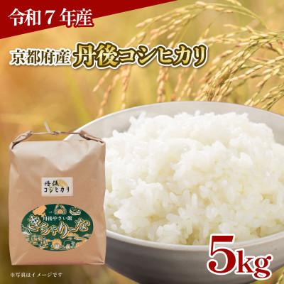 ふるさと納税 京都府 【令和7年産】京都府産 丹後コシヒカリ 5kg お米 5キロ 特A米