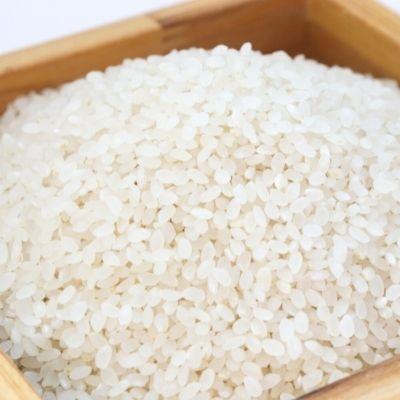 ふるさと納税 福島市 古関商店【令和7年産】コシヒカリ 精米2kg　No.2114