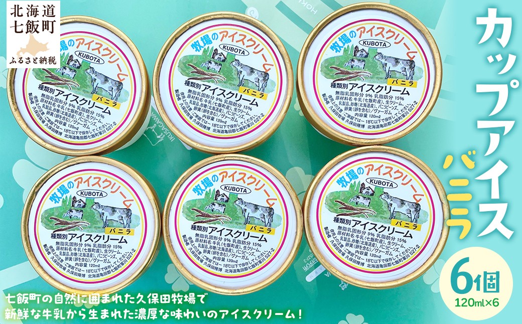 
            カップアイス　バニラ 120ml×6個 【 ふるさと納税 人気 おすすめ ランキング アイスクリーム アイス あいす バニラ ばにら セット おいしい 北海道 七飯町 送料無料 】 NAP008
          