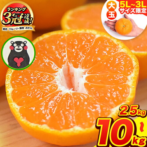 【ふるさと納税】ご家庭用 熊本 大粒みかん 約2.5kg 約5kg 約10kg(3L〜5Lサイズ)大玉 みかん 先行予約 10キロ 熊本 ちょっと 訳あり 傷 約10kg たっぷり 熊本県産 熊本県 期間限定 フルーツ 旬 柑橘 長洲町 大粒みかん《2026年1月中旬-2月末頃出荷》