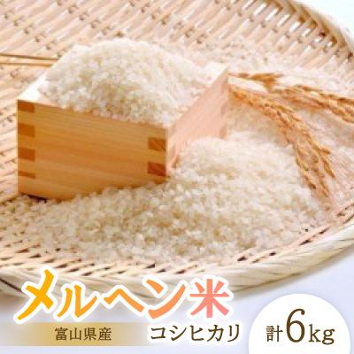 ふるさと納税 小矢部市 富山県産メルヘン米コシヒカリ6kg(精米/3kg×2袋)