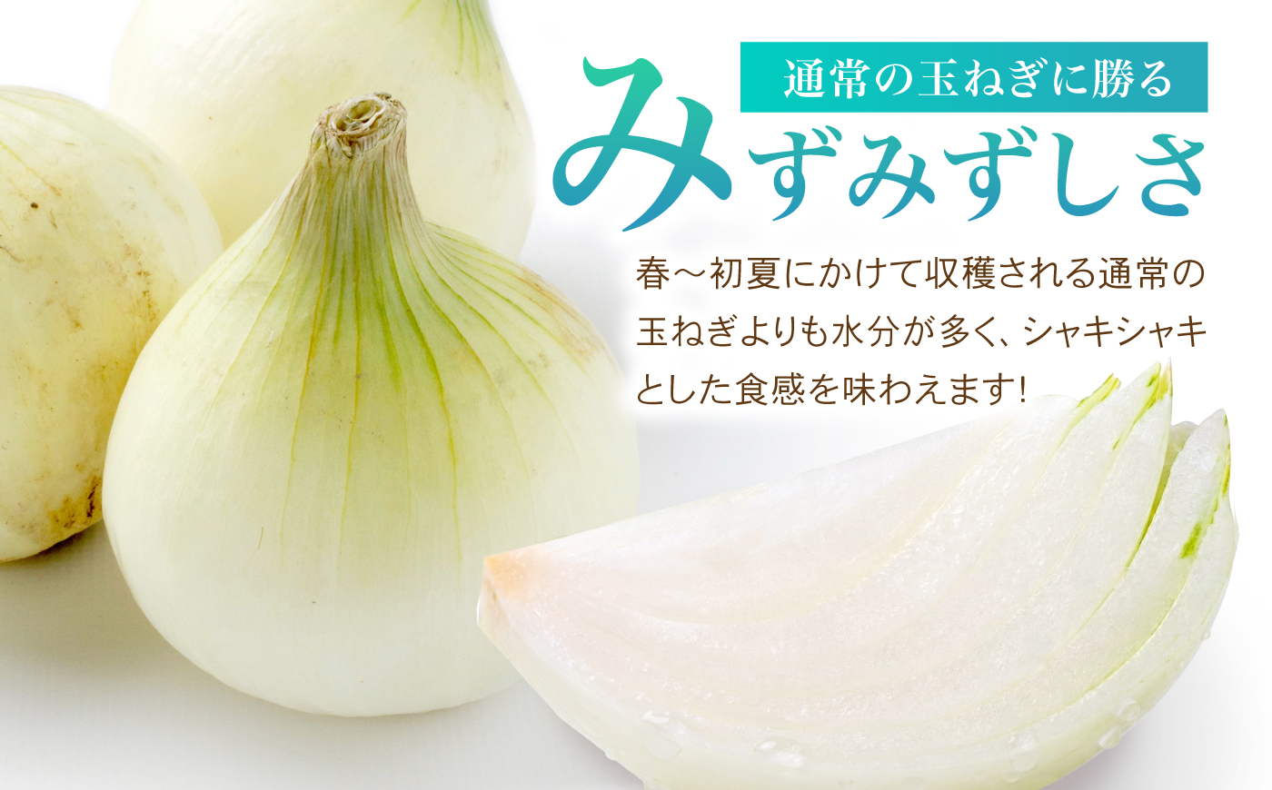 【先行予約 2027年1月～発送】種から栽培するこだわり！冬どりたまねぎ5kg【藤武農産】 [IDM002]