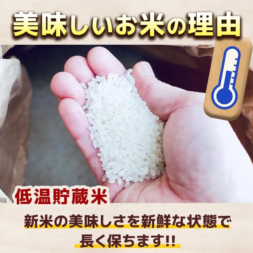 とちぎの星 5kg×2 (10kg) 
