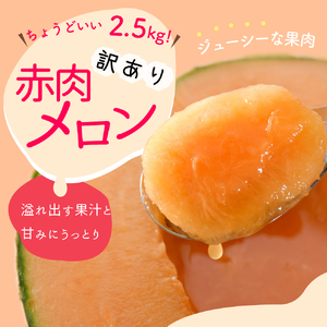【2024年8月上旬発送】【訳あり】メロン2.5kg程度(赤肉2玉)津軽産