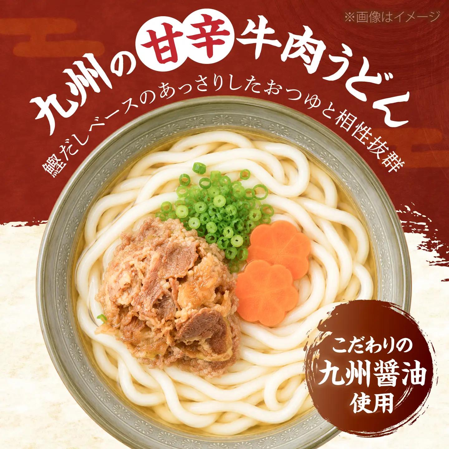 牛肉うどん12食 VAI006 肉うどん