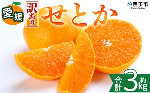 ＜【訳あり】愛媛県産 せとか 約3kg＞『2027年2月中旬～5月下旬迄に順次発送予定』わけあり 訳アリ 甘い みかんの大トロ みかん 蜜柑 果物 くだもの フルーツ ミカン 高級柑橘 とろける 食感 果汁 国産 株式会社三代目みかん職人 愛媛県 西予市【冷蔵】
