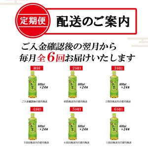 ［定期便６回］お～いお茶緑茶PEＴ６００ml（1908）