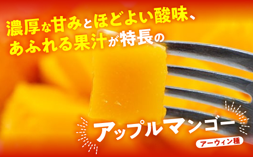 【2026年7月から順次発送・優品】燦々マンゴー1.5kg(3～6玉)【配送不可地域：離島】