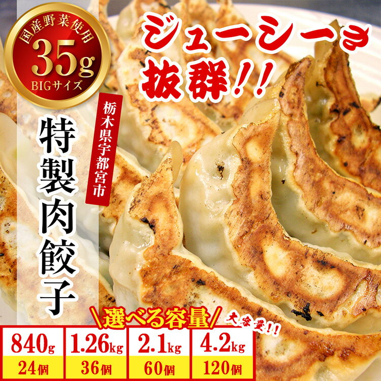 【ふるさと納税】【選べる内容量】餃子専門店 宇都宮 悟空 特製肉餃子 | 餃子 冷凍 ぎょうざ ギョーザ 名物 惣菜 国産野菜 国産豚肉 おかず 弁当 晩ご飯 おつまみ お取り寄せ グルメ 簡単調理 お手軽 時短 冷凍食品 小分け