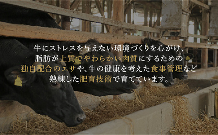 ＜定期便6回＞佐賀牛食べ比べ定期便 45万コース