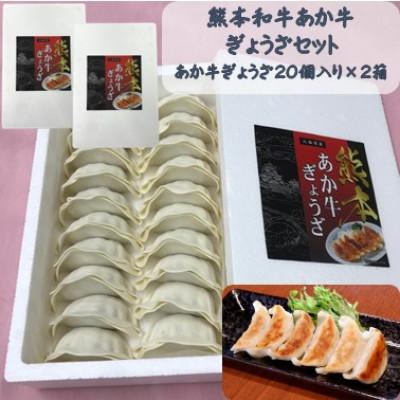 ふるさと納税 山鹿市 熊本和牛あか牛ぎょうざセット(熊本あか牛餃子20個入り×2箱)(山鹿市)