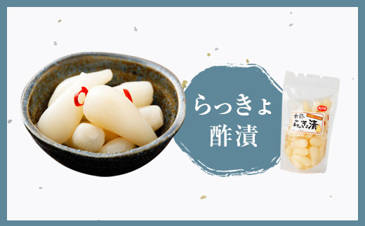 永尾商店 漬物 詰め合せ Cセット