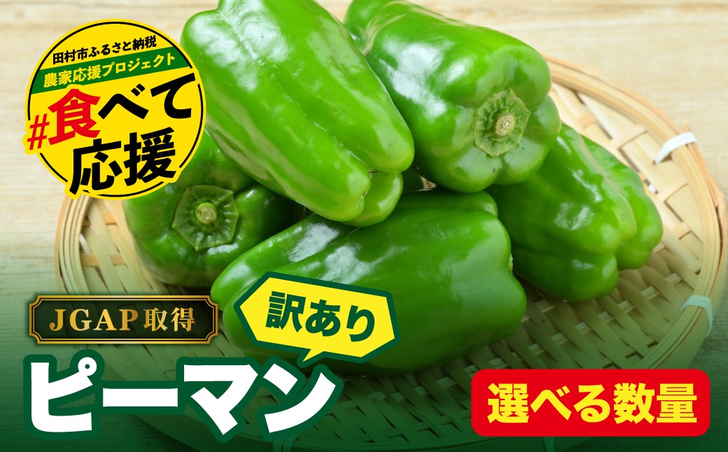 農家さん応援！ 【訳あり】 ピーマン 1kg 2kg 選べる内容量 JGAP取得 農家直送 冷蔵便 野菜 新鮮 BBQ 焼肉 国産 おすすめ 送料無料 緊急支援品 生活応援 コロナ支援 福島県 田村市 株式会社Mファーム