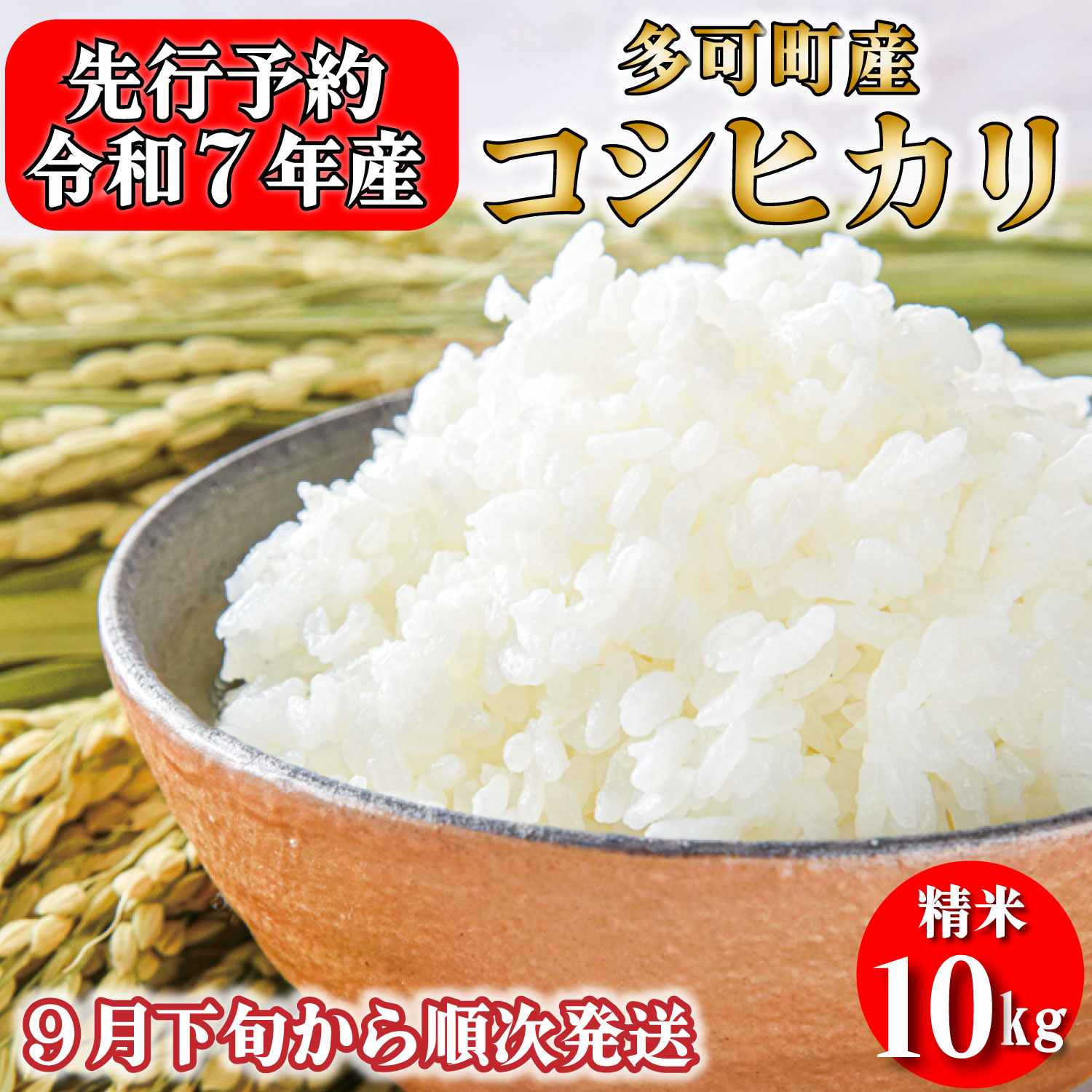 新米予約 令和７年産 お米 10kg 5kg×2 コシヒカリ 精米 兵庫県多可町産 [1220]