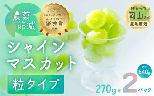 シャインマスカット 粒タイプ 2パック入 270g×2パック (540g) 農薬節減 ブドウ ぶどう 葡萄 岡山県 国産 フルーツ 果物 ギフト 正金農園より 直送 栽培期間中  しゃいんますかっと