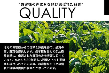 旬の新鮮野菜詰め合わせ 8種以上【野菜セット】【野菜 詰め合わせ セット夏野菜 冬野菜 旬の野菜 野菜 詰め合わせ セット夏野菜 冬野菜 旬の野菜 野菜 詰め合わせ セット夏野菜 冬野菜 旬の野菜 野
