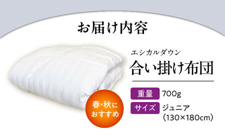 洗える 人工羽毛 合い掛け布団 〈ジュニア〉[BAAK032]キッズ 掛け布団