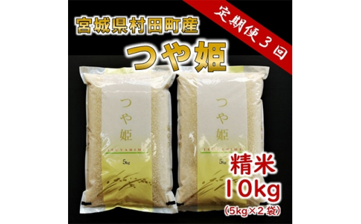 
＜毎月定期便＞宮城県村田町産つや姫(精米) 10kg(5kg×2袋) 全3回【4005589】
