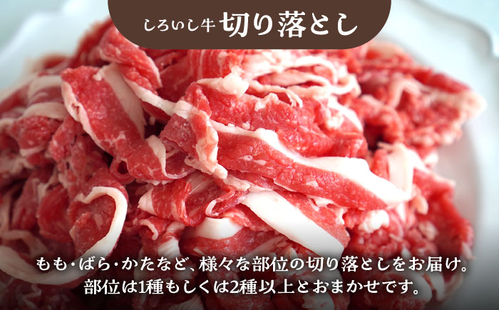 【牧場直送】しろいし牛 食卓にうれしいバラエティ セット（切り落とし 500g＆焼肉用 420g）【有限会社佐賀セントラル牧場】 [IAH194]