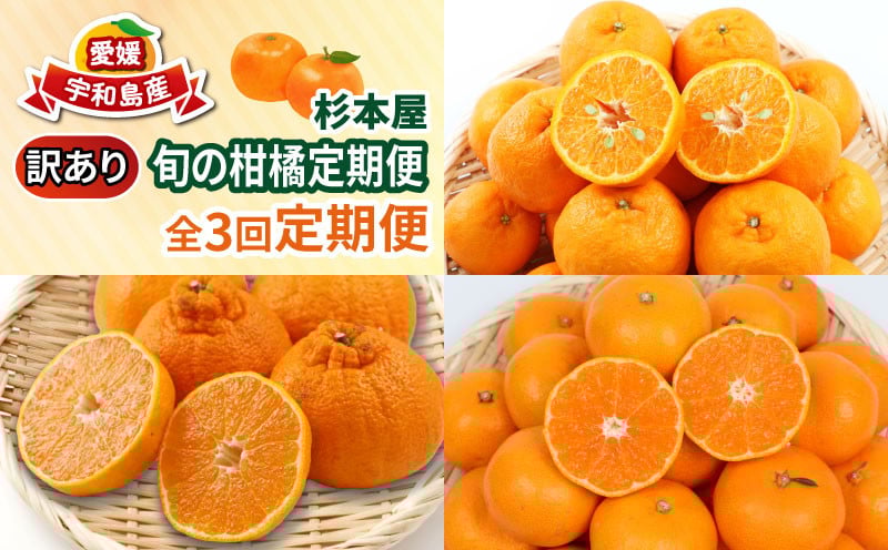 
                  みかん定期便 訳あり 柑橘定期便 全3回 杉本屋 わけあり 完熟みかん 柑橘  みかん ポンカン 不知火 完熟 温州みかん mikan 愛媛みかん愛媛ミカン 愛媛蜜柑 早生温州 温州 甘い 果物 フルーツ 柑橘 蜜柑  産地直送 数量限定 国産 愛媛 宇和島 B030-143013
                