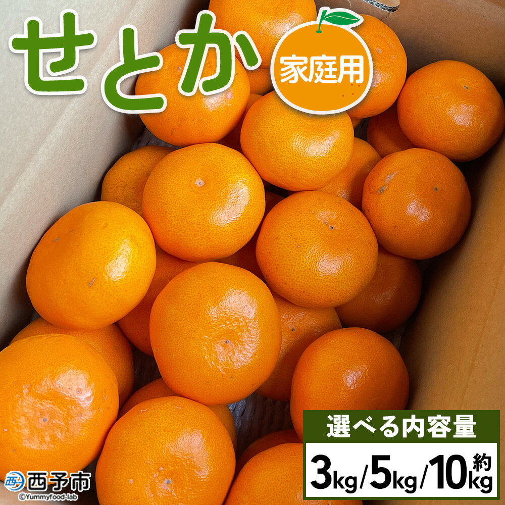 【ふるさと納税】＜せとか 家庭用 約3kg／5kg／10kg＞ 訳あり わけあり 自宅用 果物 フルーツ みかん ミカン 蜜柑 オレンジ 柑橘 セトカ 選べる ジューシー サイズ不揃い 食べて応援 特産品 柑橘園柴田 愛媛県 西予市【常温】『2026年2月下旬～3月中旬迄に順次出荷予定』
