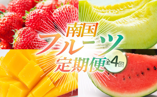 【年4回 旬のフルーツ定期便】季節のフルーツセット｜イチゴ いちご スイカ すいか マンゴー まんごー メロン めろん 果物 フルーツ 定期便 ふるーつ定期便 果物定期便 旬 夏フルーツ 秋フルーツ 冬フルーツ くだもの 贈答 ギフト 人気 おすすめ 西島園芸団地 高知県 南国市