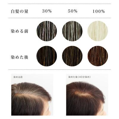 ふるさと納税 瑞穂町 自然素材100%、髪にも肌にも優しい白髪染め ナイアード「ヘナ+木藍 黒茶」 (400g) |  | 01