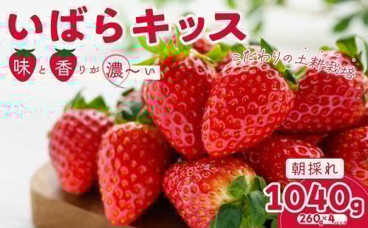 【2026年 先行予約】いちご いばらキッス 約260g×4パック | 苺 イチゴ いちご 檜山いちご園 新鮮いちご  大粒 いちご いばらキッス ひたち姫 やよいひめ フルーツ 旬 産地 直送 フレッシュ 新鮮 朝採れ 採れたて  糖度 酸味 バランス 健康 果物 デザート  贈り物 食べ比べ 人気 美味しい 甘い ベリー ブランド 茨城県 常陸太田市