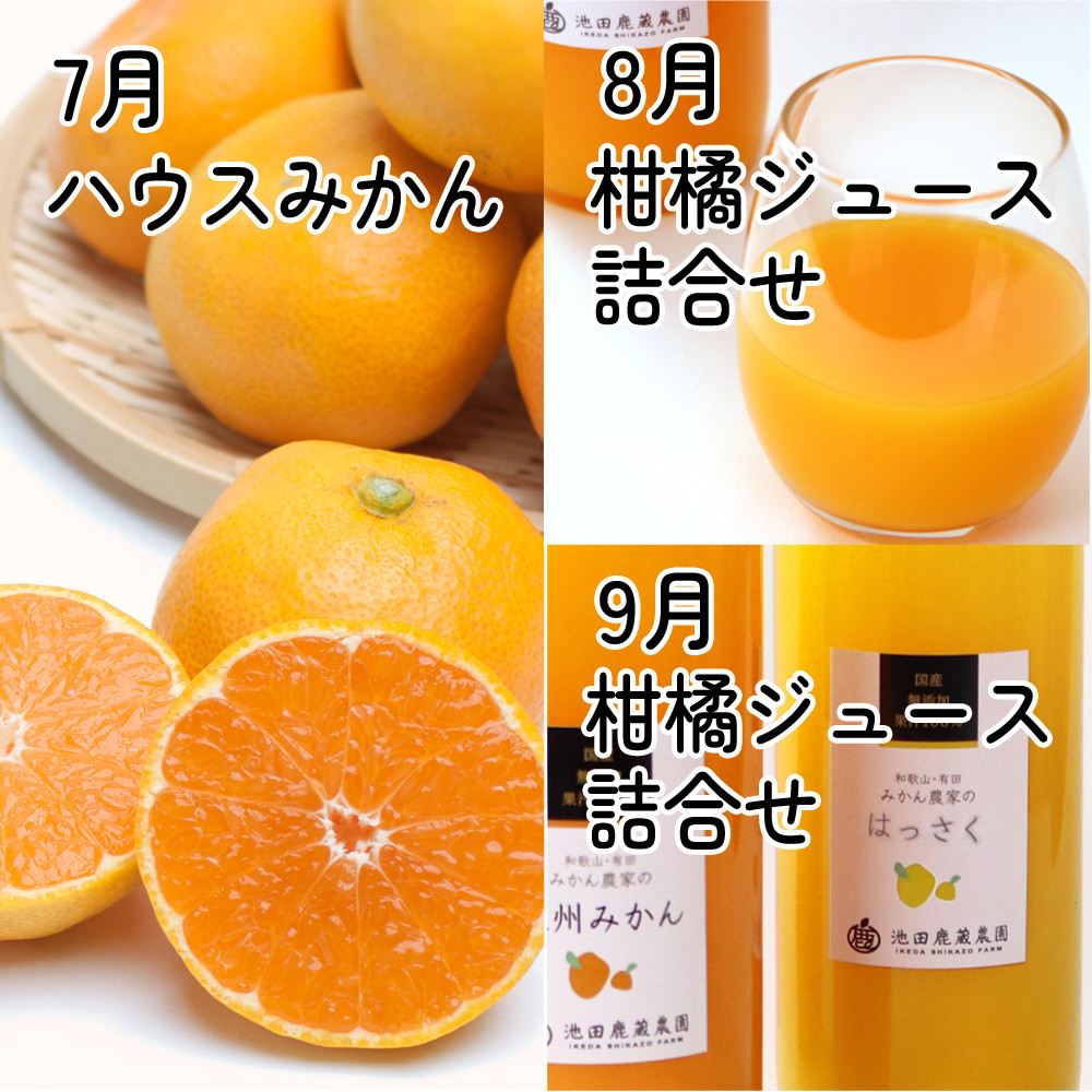 家庭用 柑橘定期便M（7～9月）全3回 ［IKE312］